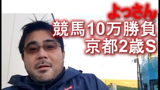よっさん　競馬10万勝負 vs 京都2歳S GIII　 2020年11月28日15時