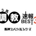 【競馬予想】阪神ジュベナイルフィリーズ 2020 最終追い切り評価BEST３・１強？今年は荒れそうな予感！