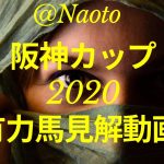 【阪神カップ2020予想】有力馬見解【Mの法則による競馬予想】