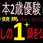 全日本2歳優駿2020（川崎競馬）消去法予想｜激推し1頭公開！