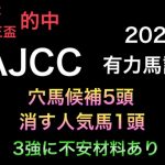 【競馬予想】　アメリカジョッキークラブカップ　AJCC 2021 有力馬診断　事前予想