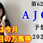 【競馬】AJCC 2021 予想(土曜若駒S＆初富士Sは3連複ダブル的中！！) ヨーコヨソー