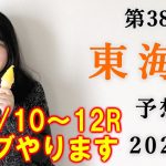【競馬】東海S 2021 予想(土曜若駒S＆初富士Sは3連複ダブル的中！！) ヨーコヨソー