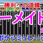 マーメイドステークス2021 枠順確定後シミュレーション 【スタポケ】【競馬予想】