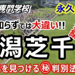 【競馬】日本はここだけ新潟芝1000ｍ直線 初心者にも分かる徹底解説【競馬の専門学校】