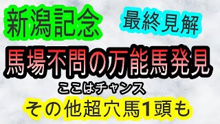 【競馬予想】新潟記念2021　最終見解　大波乱　大荒れ狙い！