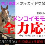 【ホッカイドウ競馬】メンコイモモチャン２ヶ月ぶりのレース！全力応援！