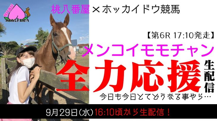 【ホッカイドウ競馬】メンコイモモチャン２ヶ月ぶりのレース！全力応援！