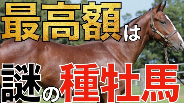【日本で1頭】珍しい種牡馬の産駒が最高価格！オータムセールは特徴的な結果に。【競馬】
