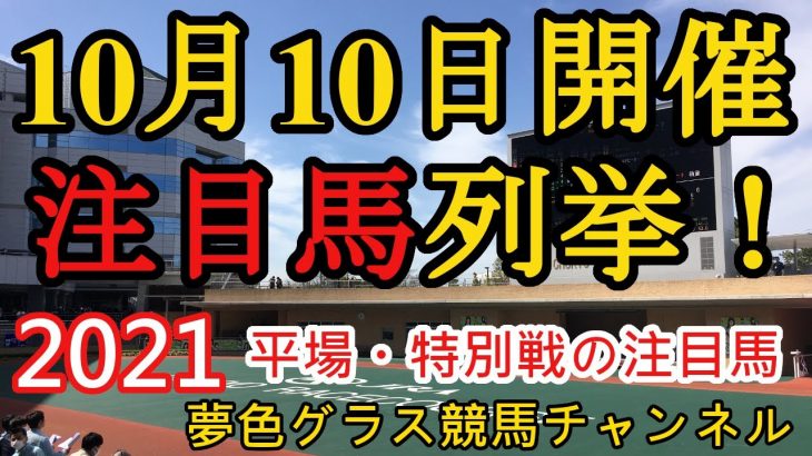 【注目馬列挙】2021年10月10日JRA平場特別戦！土曜日は12頭中7頭が馬券内に！
