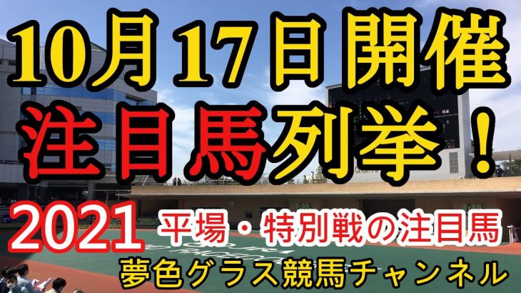 【注目馬列挙】2021年10月17日JRA平場特別戦！秋華賞の無念をはらしたい阪神10R！