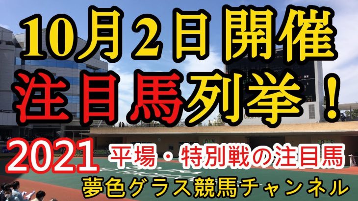 【注目馬列挙】2021年10月2日JRA平場特別戦！中京芝は高速の差し馬場に？