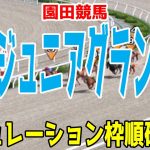 兵庫ジュニアグランプリ2021 枠順確定後シミュレーション【競馬予想】地方競馬