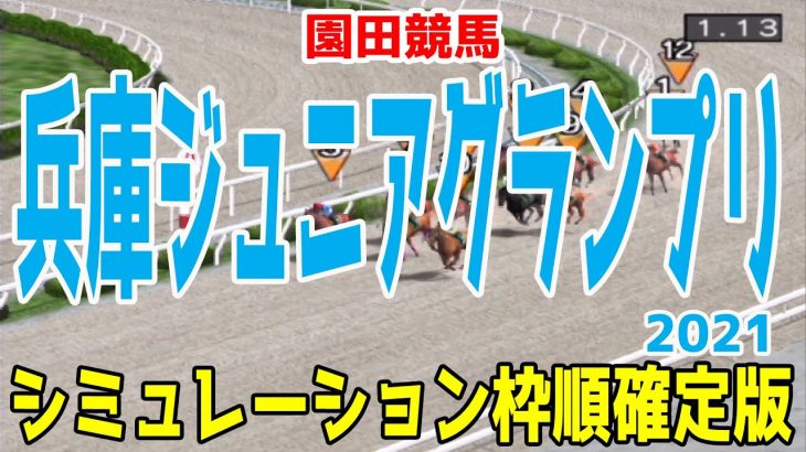 兵庫ジュニアグランプリ2021 枠順確定後シミュレーション【競馬予想】地方競馬