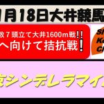 【競馬予想】東京シンデレラマイルトライアル 2021年11月18日 大井競馬場