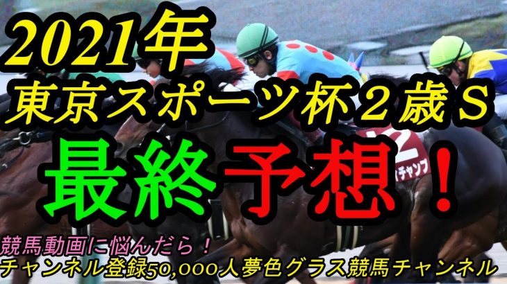 【最終予想】2021東京スポーツ杯2歳ステークス！鞍上との相性良し！末脚魅力のこの馬から！