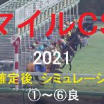 【競馬予想2021】マイルCS（GⅠ）阪神芝1600mシミュレーション枠順確定後6パターン（①～⑥良）【WP9】20211119