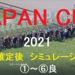 【競馬予想2021】JAPAN CUP（GⅠ）シミュレーション枠順確定後6パターン（①～⑥良）【WP9】20211125