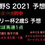 【競馬予想】　武蔵野ステークス　デイリー杯2歳ステークス　2021 予想