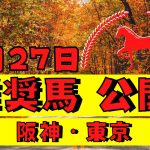 【週間競馬予想TV】2021年11月27日(土) 中央競馬全レースの中から推奨馬を紹介。阪神・東京の平場、特別戦、重賞レース。今週デビューの注目新馬も紹介！注目馬を考察。【全レース】