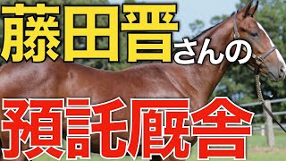 【馬名も決定】未来の大馬主、藤田晋さんが選ぶ厩舎は！セレクトセール購入馬を続々と競走馬登録。【競馬】