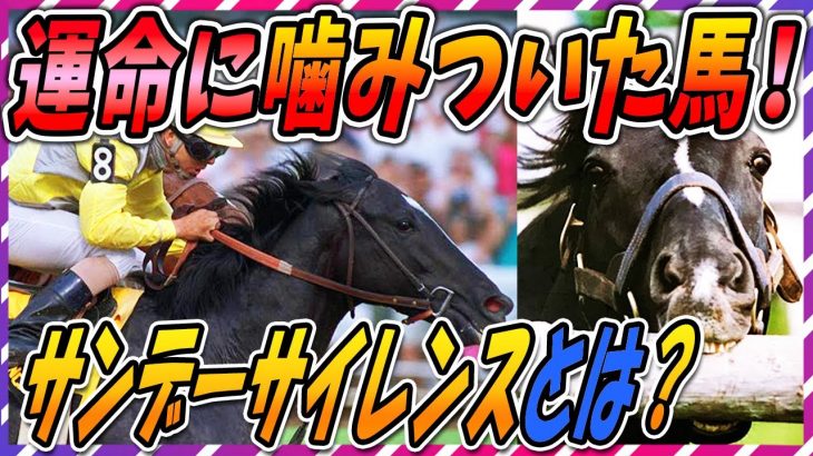 【ゆっくり解説】全員聞けっ！日本競馬の歴史を変えた！サンデーサイレンスの全貌【ウマ娘 競馬】