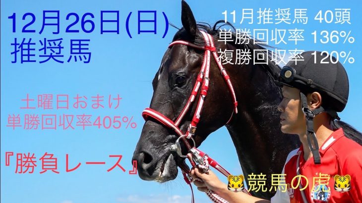 競馬の虎　12月26日（日）　中山　阪神　平場予想　推奨馬　勝負レース