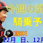 【競馬】武豊騎乗予定　12月4日（阪神）5日（中京）で騎乗します！チャンピオンズカップは復活を期すインティと出走！