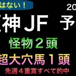 【競馬予想】　阪神ジュベナイルフィリーズ 2021 予想 阪神JF