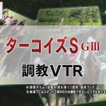 【調教動画】2021年 ターコイズステークス｜JRA公式
