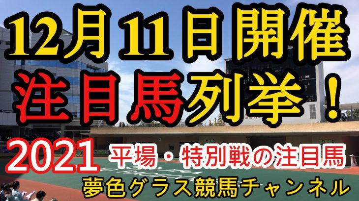 【注目馬列挙】2021年12月11日JRA平場特別戦！中山からは注目の新馬を２つ入れてのラインナップ