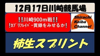 【競馬予想】柿生スプリント2021年12月17日 川崎競馬場