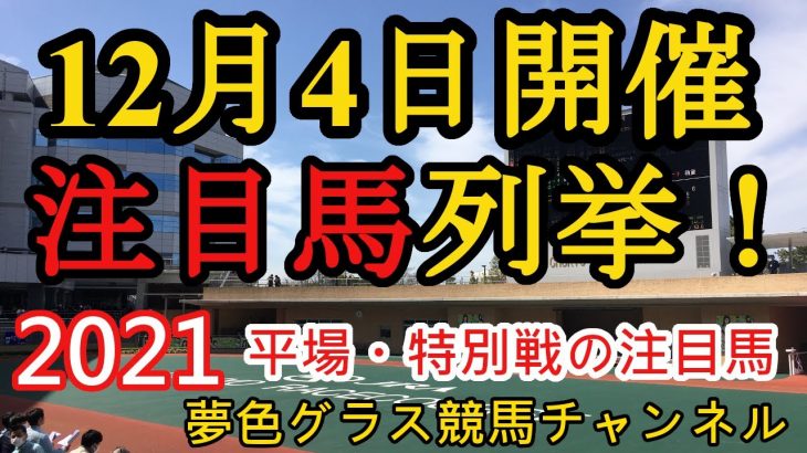 【注目馬列挙】2021年12月4日JRA平場特別戦！中京に穴馬を揃えたラインナップ！