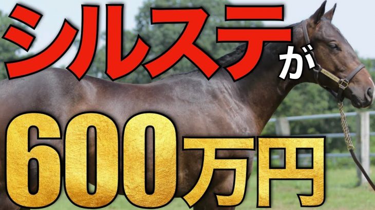 【4倍増】シルバーステートが衝撃の種付け料600万円！日高で夢を見るならこの馬か。【競馬】