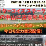 第7回 ターコイズステークス G3 今日も中山5レースから最終まで 競馬実況ライブ!