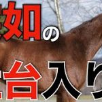 【電撃】今年の安田記念馬ダノンキングリーが社台SS入り！インディチャンプは優駿で考察広がる。【競馬】