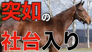 【電撃】今年の安田記念馬ダノンキングリーが社台SS入り！インディチャンプは優駿で考察広がる。【競馬】