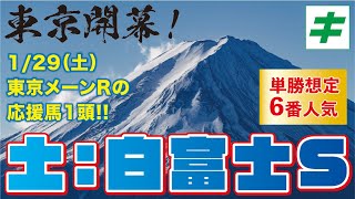 白富士ステークス 2022 【予想】東京競馬の開幕を飾る（土）メーンＲ！６番人気想定の応援馬を公開中！