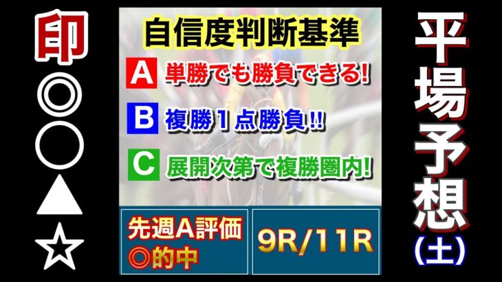 2022年 1月8日　中山・中京　平場予想　全レース　競馬　競馬予想