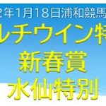 マルチウイン特別・新春賞・水仙特別【2022年1月18日浦和競馬予想】