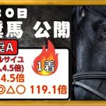 【競馬予想】2022年1月30日(日)　平場予想・重賞予想・POG・注目新馬を紹介【根岸S、シルクロードS】