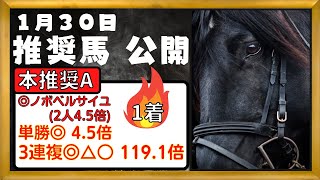 【競馬予想】2022年1月30日(日)　平場予想・重賞予想・POG・注目新馬を紹介【根岸S、シルクロードS】