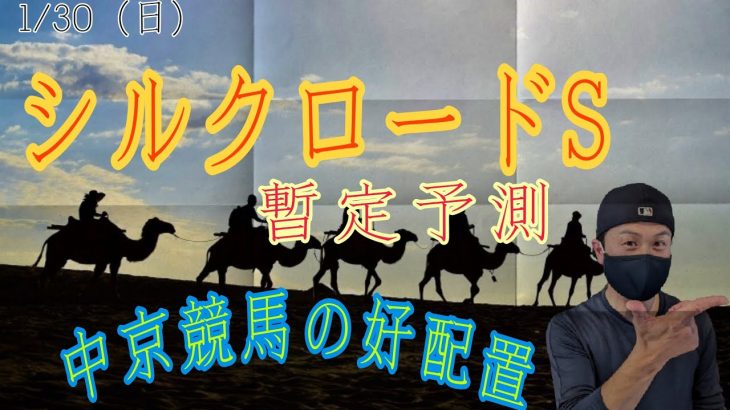 【シルクロードS】1月30日（日）中京競馬の出馬表からの騎手、厩舎、種牡馬の好配置発表。暫定予測は11Rシルクロードステークスです。