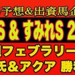 【 仁川ステークス & すみれステークス2022 】土曜日の競馬予想＆出資馬企画！