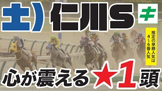 仁川ステークス 2022 【予想】今週もダート戦が熱い！推定４～６番人気の「あの★馬」を全力応援！オマケもあり！