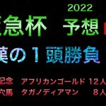 【競馬予想】 阪急杯 2022 予想