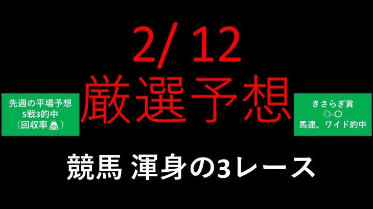 【競馬予想】2022 2/12厳選予想【平場予想】
