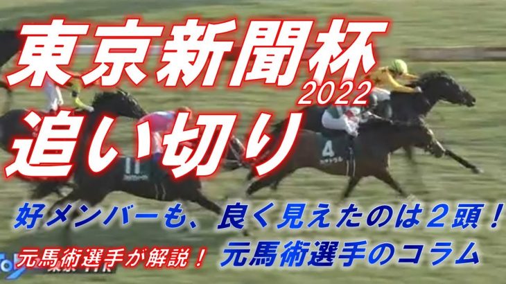 東京新聞杯2022　追い切り診断！！　２頭まで絞りました！！　元馬術選手のコラム【競馬】