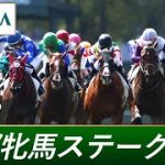 2022年 京都牝馬ステークス（GⅢ） | 第57回 | JRA公式