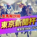 【競馬】2022 東京新聞杯（人気馬解説編）「今年のG1勝ち馬がこの中にいる！マイル戦線を占う重要な一戦！」
